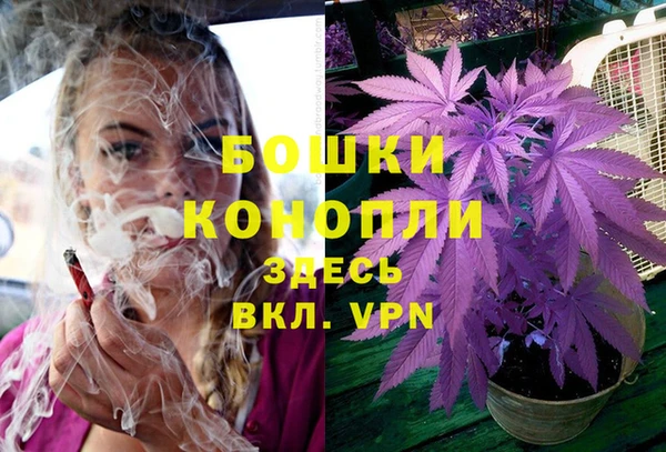 PSILOCYBIN Алексин